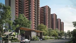 assetz-sora-and-saki Assetz Sora and Saki